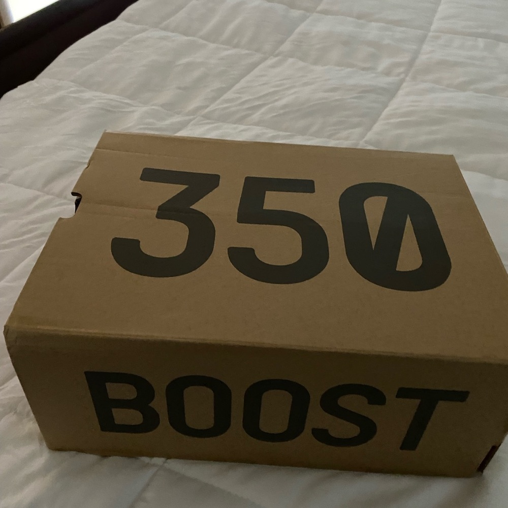 350 Yeezy Boost - Picture 5 of 6